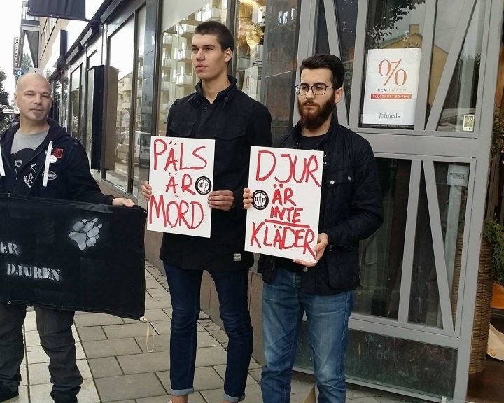 Švedijoje siūloma griežčiau bausti gyvūnų teisių gynėjus už išpuolius prieš ūkininkus